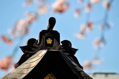 Sakura çiçek top mavi gökyüzü arka plan üzerinde Japon Tapınağı ile bulanık ön plan