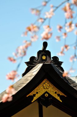 Sakura çiçek top mavi gökyüzü arka plan üzerinde Japon Tapınağı ile bulanık ön plan