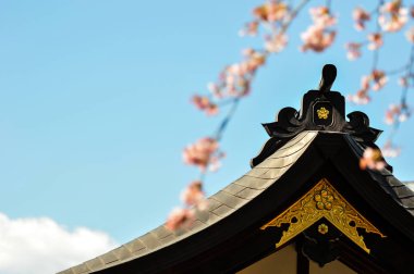 Sakura çiçek top mavi gökyüzü arka plan üzerinde Japon Tapınağı ile bulanık ön plan