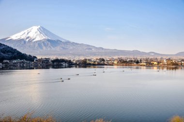 Mt. Fuji Kawaguchiko göl kar manzara, Mt. Fuji sonbahar içinde ünlü Japonya, turist insanlar çağrı Mt. Fuji Fuji, Fujisan,: Fujiyama, Fuji-san, Japonya olarak dağıdır