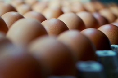 Bir markette satılık tavuk yumurtalarının arkaplanı bir müşteri tarafından alınmaya hazır..