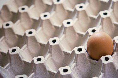 Kağıt tepside bir yumurta, kendini yalnız hisset, yalnız hisset.. 