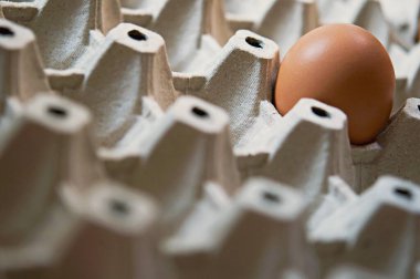 Kağıt tepside bir yumurta, kendini yalnız hisset, yalnız hisset.. 