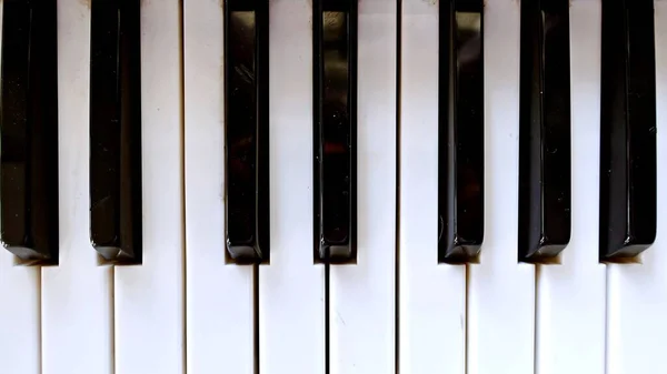 Piano, keyboard piano, side view of instrument musical tool. Background.