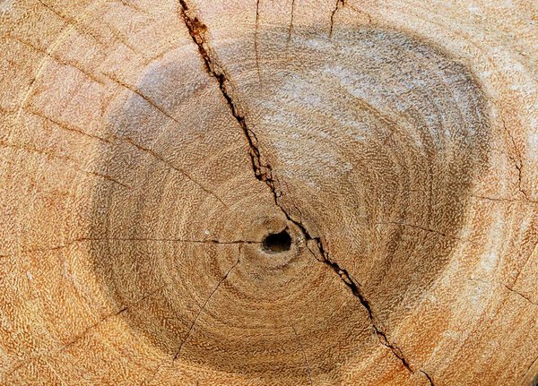 Древесина подготовить для изготовления деревянной мебели, коры фона