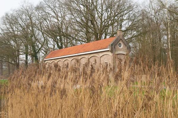 Sluice house behind reed — Stock Photo, Image