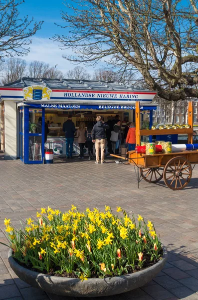 Dutch herring stall — Stock Photo, Image