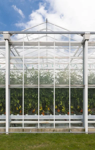 Av växthusgaser exteriör med mogna tomater inuti — Stockfoto