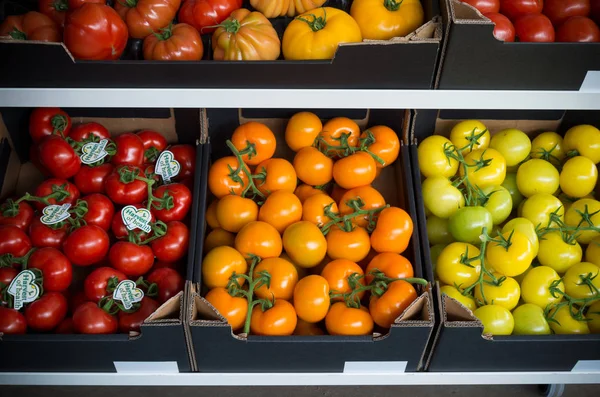 Reife Tomaten in Schachteln — Stockfoto