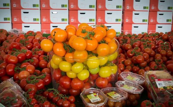 Reife Tomaten im Gewächshaus — Stockfoto