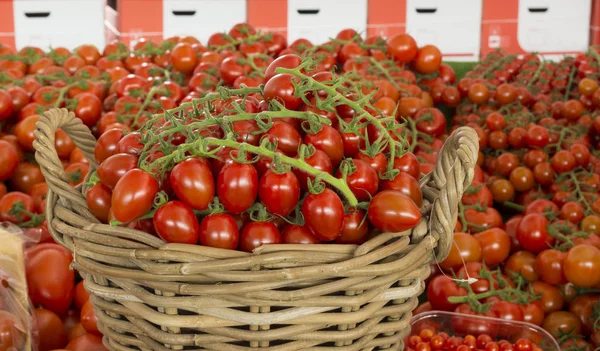Корзина с красными помидорами — стоковое фото