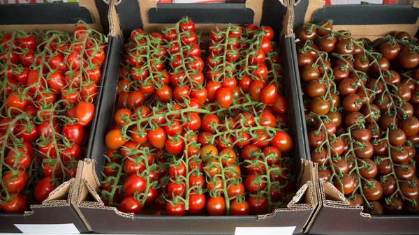 Reife Tomaten in Schachteln — Stockfoto