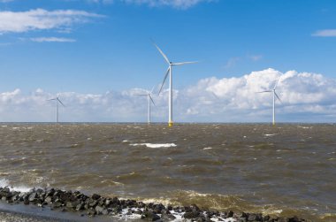 offshore rüzgar gülü park