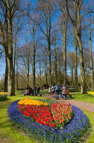 Keukenhof giardini in lisse, Paesi Bassi — Foto Stock