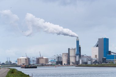rotterdam Bacada yasaktır