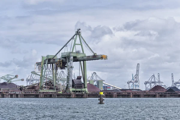 Harbor kranar i rotterdam — Stockfoto