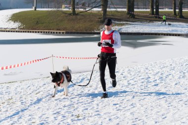 Karda çalışan canicross