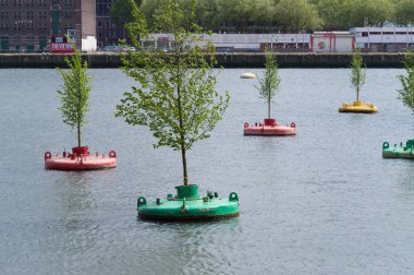 rotterdam ormanda sallanan