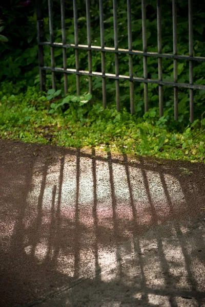 Puerta de hierro a la luz del sol —  Fotos de Stock