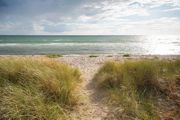 丹麦海滩景观 — 图库照片