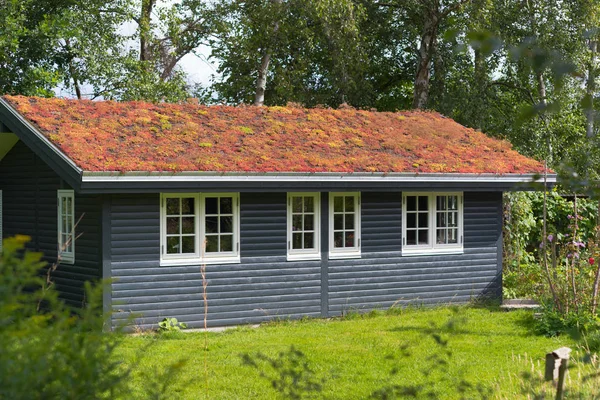 Milieu vriendelijke dak — Stockfoto