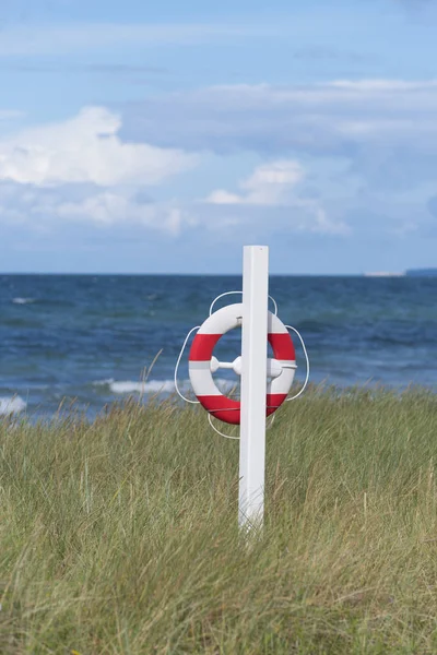 Life buoy on beach — Stock Photo, Image
