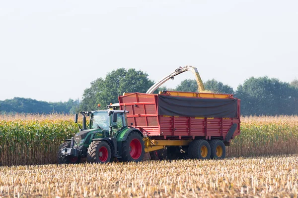 Oogsten van maïs in Nederland — Stockfoto