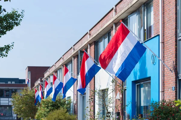 Dutch flags in the street — Stock Photo, Image