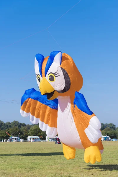 Uil vormige kite — Stockfoto