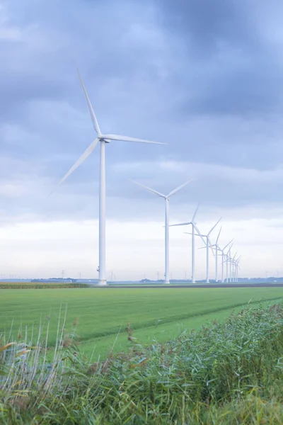 Row of wind turbines — Stock Photo, Image