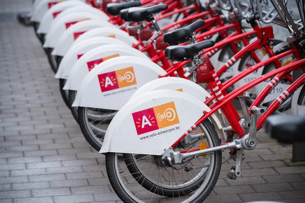 Aluguel de bicicletas em Antuérpia — Fotografia de Stock