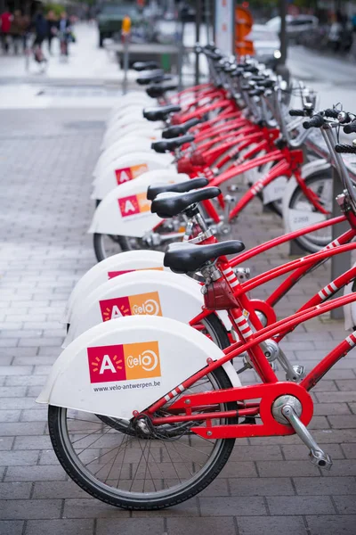 Аренда велосипедов в Антверпене — стоковое фото