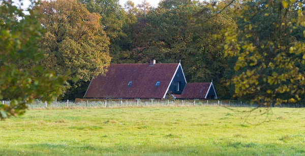 Çiftlik evinin çatısı — Stok fotoğraf