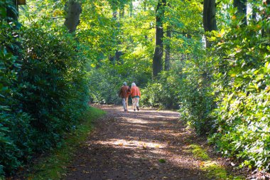 Yaşlı çift yürüyor
