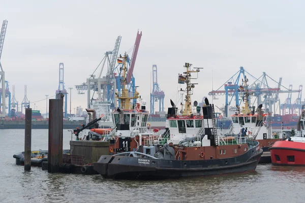 Rebocar barcos no porto de Hamburgo — Fotografia de Stock