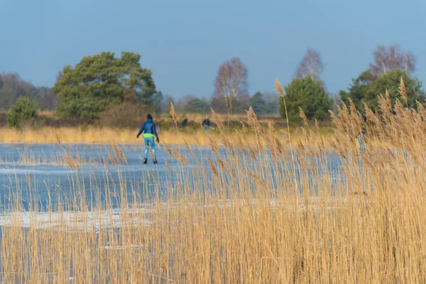 Osamělý bruslař v Nizozemsku — Stock fotografie