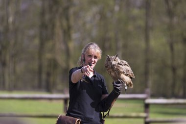 Yırtıcı Kuş gösteri