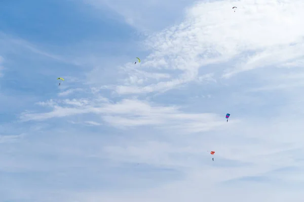 Varios Saltadores Paracaídas Acción Durante Una Manifestación Aeropuerto Twente —  Fotos de Stock