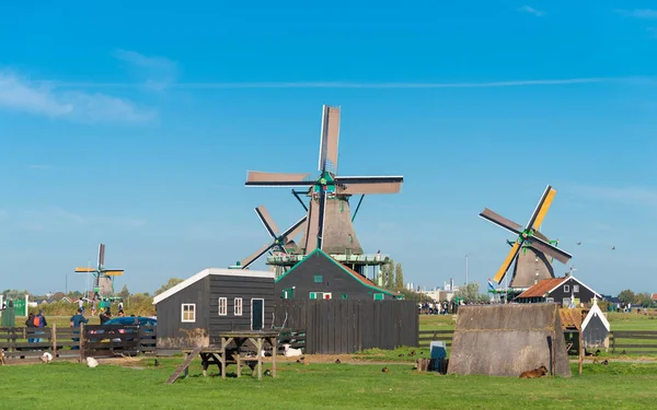 Zaanse Schans Netherlands Октября 2018 Года Традиционная Ветряная Мельница Zaanse — стоковое фото