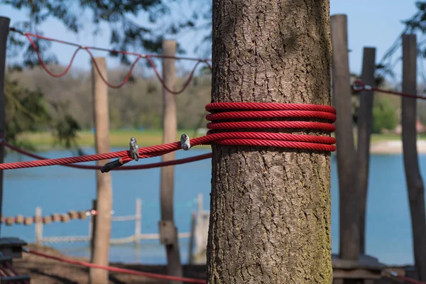 户外攀爬和探险公园的树上挂着红绳 — 图库照片