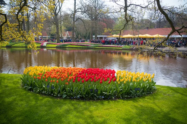 Lisse Países Bajos Abril 2019 Macizos Flores Keukenhof Parque Jardín —  Fotos de Stock