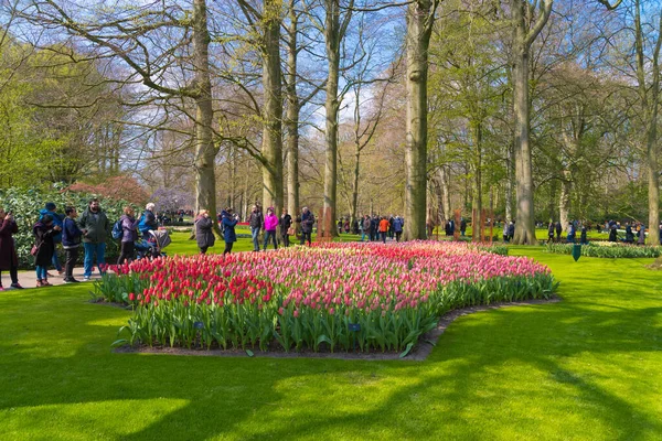 Lisse Paesi Bassi Aprile 2019 Aiuole Keukenhof Più Grande Parco — Foto Stock