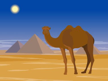  Büyük Giza piramitleri
