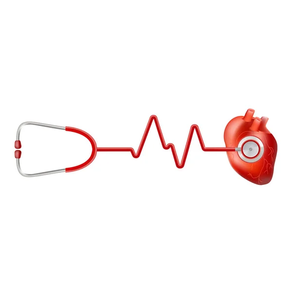 人的心脏和心电图与听诊器孤立在白色背景上的心跳。现实的矢量图. — 图库矢量图片