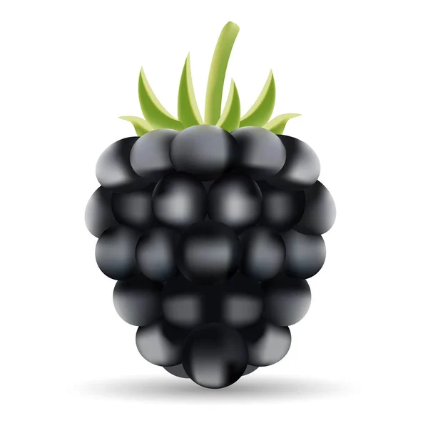 Zomer rijp Blackberry geïsoleerd op een witte achtergrond. — Stockvector