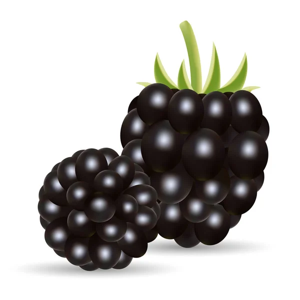 Słodkie owoce. Leśna jagoda. BlackBerry na białym tle na białym tle. — Wektor stockowy