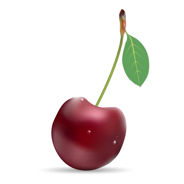 Enda mogna Cherry Berry med Leaf isolerad på en vit bakgrund. — Stock vektor
