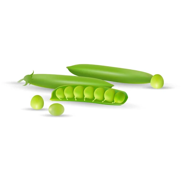 Des gousses de pois verts isolées sur fond blanc . — Image vectorielle