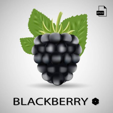 BlackBerry. Tatlı meyve. Bir arka plan üzerinde izole orman Berry.