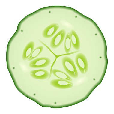 Beyaz bir arka plan üzerinde izole taze salatalık dilim.